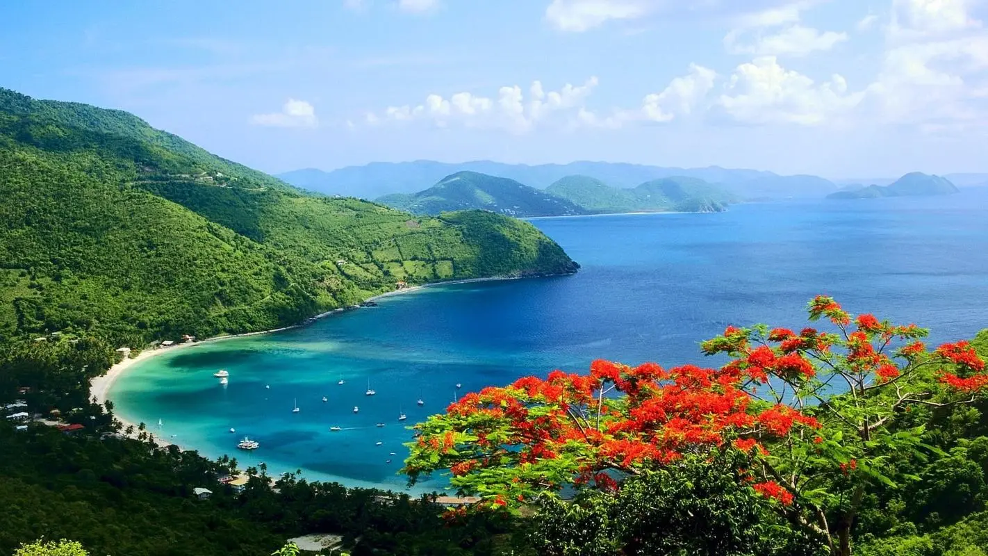 全自动高端智能化
